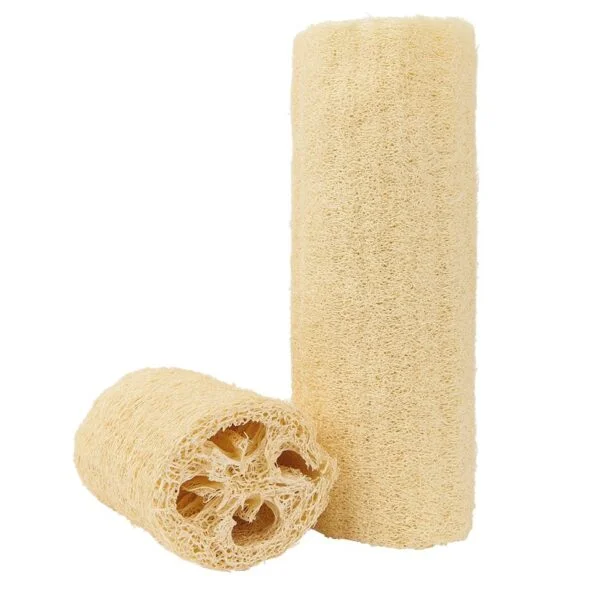 To Loofah svamps ca 15 cm sammenrullede håndklæder på hvid baggrund til velvære.